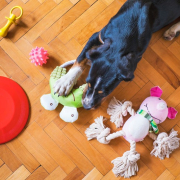 Private-Label-pet-Supplies-manufacturers