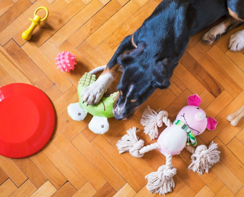 Private-Label-pet-Supplies-manufacturers