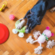 Private-Label-pet-Supplies-manufacturers