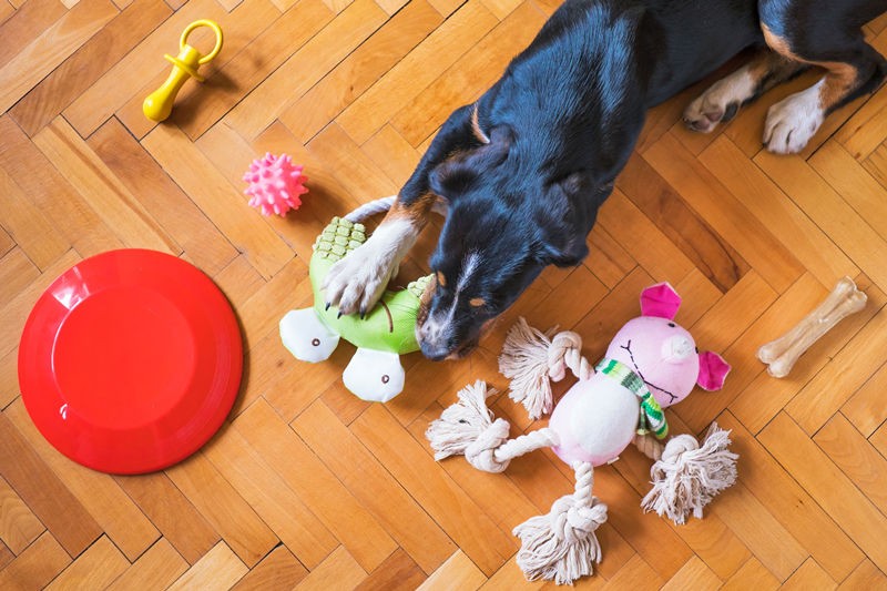 Private-Label-pet-Supplies-manufacturers