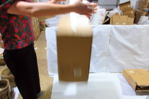 Special-Inspection-Level_ISTA-Carton-drop-test