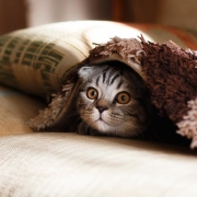 bedding_blanket_products_quality_inspection_in_china_mikhail-vasilyev-nodtncsldte-unsplash.com_