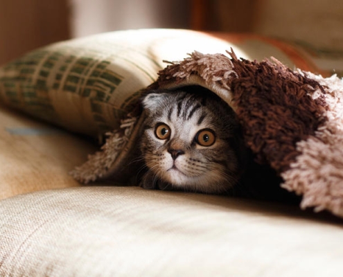 bedding_blanket_products_quality_inspection_in_china_mikhail-vasilyev-nodtncsldte-unsplash.com_