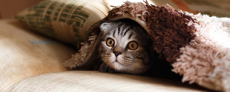 bedding_blanket_products_quality_inspection_in_china_mikhail-vasilyev-nodtncsldte-unsplash.com_
