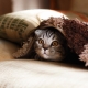 bedding_blanket_products_quality_inspection_in_china_mikhail-vasilyev-nodtncsldte-unsplash.com_