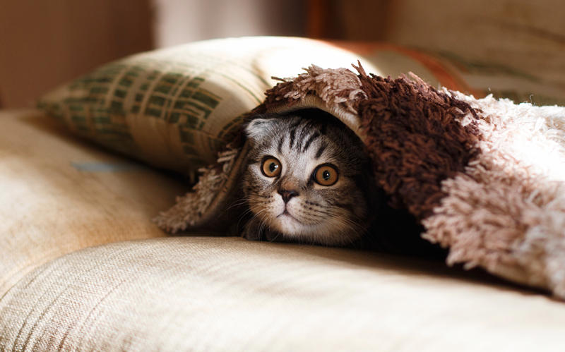 bedding_blanket_products_quality_inspection_in_china_mikhail-vasilyev-nodtncsldte-unsplash.com_